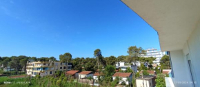 Perla Apartment 6